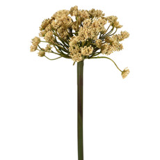 Imagem de HASTE DECORATIVA DE RENDA DA RAINHA COR MANTEIGA EM PLÁSTICO MOLDÁVEL 75X23CM GRILLO - Grillo Ltda