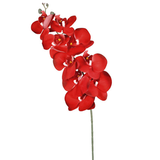 Imagem HASTE DECORATIVA DE ORQUÍDEA PHALAENOPSIS VELUDO VERMELHA EM PLÁSTICO - GRILLO