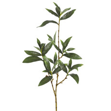 Imagem de HASTE DECORATIVA DE FOLHAS DE SKIMMIA MENTA OUTONO EM PLÁSTICO 94X13CM - GRILLO - Grillo Ltda