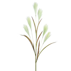 Imagem de HASTE DECORATIVA DE PAMPAS VERDE EM PLÁSTICO MOLDÁVEL 86X10CM - GRILLO - Grillo Ltda