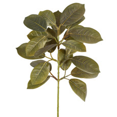 Imagem de HASTE FOLHAS PACHIRA VERDE EM PLÁSTICO MOLDÁVEL 40X15CM - GRILLO - Grillo Ltda