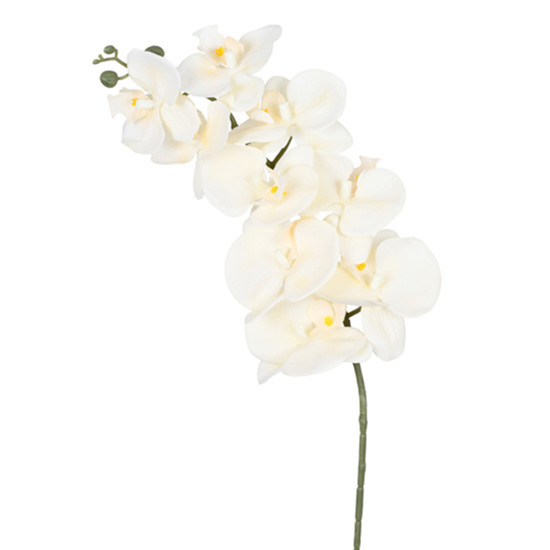 Imagem HASTE DECORATIVA DE ORQUÍDEA PHALAENOPSIS VELUDO CREME EM PLÁSTICO 97X12CM - GRILLO