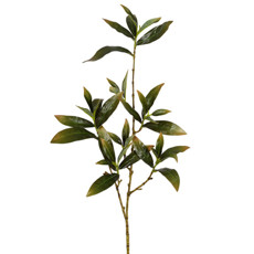 Imagem de HASTE DECORATIVA DE FOLHAS DE SKIMMIA VERDE OUTONO EM PLÁSTICO 94X13CM - GRILLO - Grillo Ltda