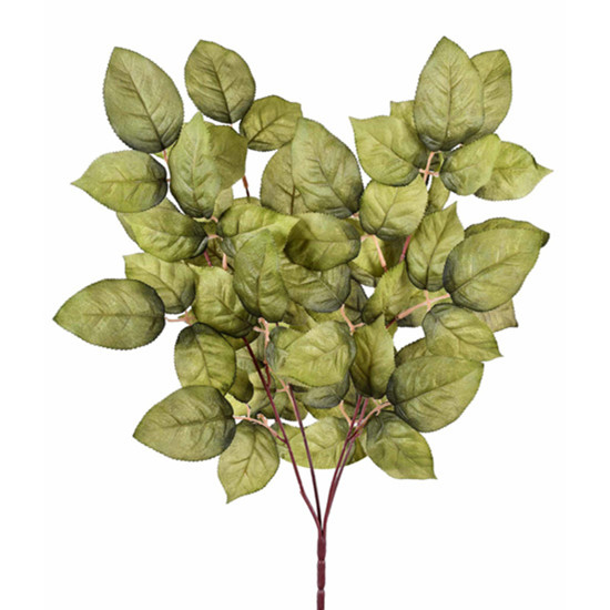 Imagem HASTE DECORATIVA DE FOLHAS DE ROSEIRA VERDE OUTONO EM PLÁSTICO MOLDÁVEL - GRILLO