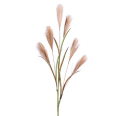 Imagem de HASTE DECORATIVA DE PAMPAS CAFÉ EM PLÁSTICO MOLDÁVEL 86X10CM - GRILLO - Grillo Ltda