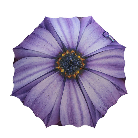 Imagem SOMBRINHA LONGA FLOWERS FASHION AUTOMÁTICA EM TECIDO PONGÉE 83CM - BRIZI