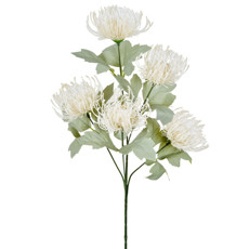 Imagem de HASTE DECORATIVA DE LICOSPERMUM CREME EM PLÁSTICO MOLDÁVEL 70X25CM - GRILLO - Grillo Ltda