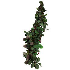 Imagem de PENDENTE DECORATIVO DE FOLHAGENS VERDES E BERRIES VERMELHAS EM PLÁSTICO - MAGIZI - Yangzi Brasil Corporation S A 