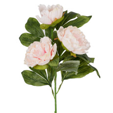 Imagem de HASTE DECORATIVA DE PEÔNIA DO CAMPO ROSA EM PLÁSTICO MOLDÁVEL 78X21CM - GRILLO - Grillo Ltda