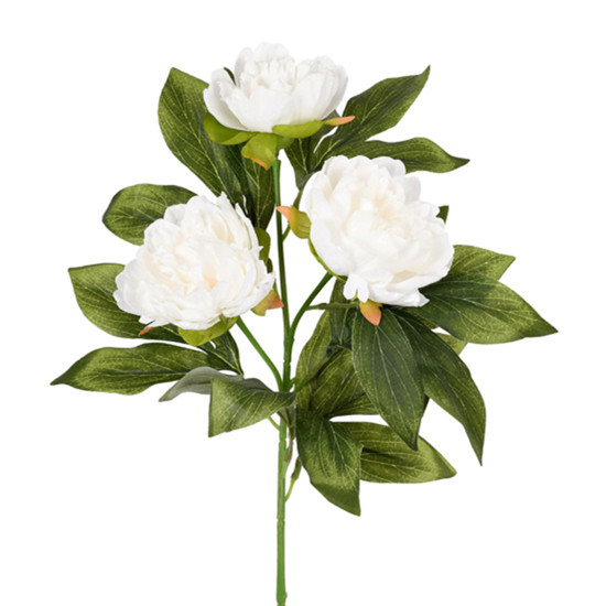 Imagem HASTE DECORATIVA DE PEÔNIA DO CAMPO CREME EM PLÁSTICO MOLDÁVEL 78X21CM - GRILLO