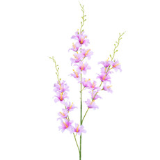 Imagem de HASTE DECORATIVA DE LÍRIO DO CAMPO LAVANDA EM PLÁSTICO MOLDÁVEL 105X7CM - GRILLO - Grillo Ltda