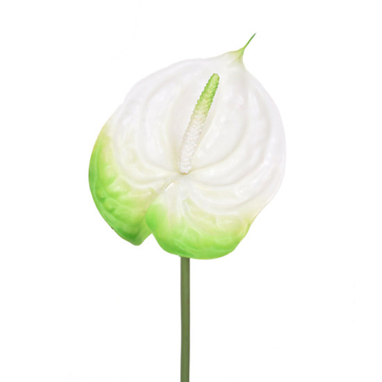 Imagem HASTE DECORATIVA DE ANTÚRIO BRANCO EM PLÁSTICO MOLDÁVEL 70X15CM - GRILLO