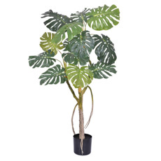 Imagem de PLANTA COSTELA DE ADÃO VERDE COM FOLHAS EM PVC E TRONCO EM PLÁSTICO 135X67CM - GRILLO - Grillo Ltda
