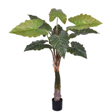 Imagem de PLANTA TARO DECORATIVA COM FOLHAS EM PVC COM TRONCO EM PU 165X100CM - GRILLO - Grillo Ltda
