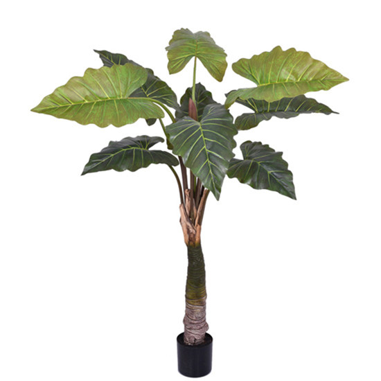 Imagem PLANTA TARO DECORATIVA COM FOLHAS EM PVC COM TRONCO EM PU 165X100CM - GRILLO