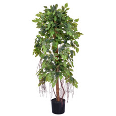 Imagem de PLANTA FICUS COM FOLHAS VERDES EM PLÁSTICO E TRONCO NATURAL COM VASO - GRILLO - Grillo Ltda