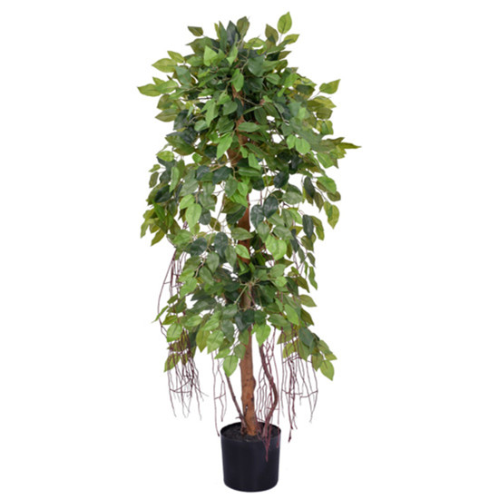 Imagem PLANTA FICUS COM FOLHAS VERDES EM PLÁSTICO E TRONCO NATURAL COM VASO - GRILLO