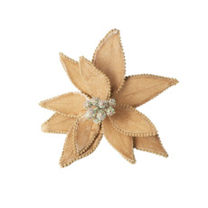 Imagem de HASTE BICO DE PAPAGAIO COR CHAMPAGNE VELUDO 26X24CM CABO CURTO GRILLO 56971 - Grillo Ltda