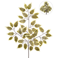 Imagem de HASTE DECORATIVA DE FOLHAS DE FICUS CREME E VERDE EM PLÁSTICO MOLDÁVEL - GRILLO - Grillo Ltda