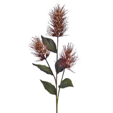 Imagem de HASTE DECORATIVA DE CIRSIUM COR CAFÉ EM PLÁSTICO MOLDÁVEL 90X15CM - GRILLO - Grillo Ltda