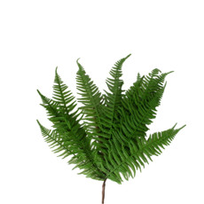 Imagem de FOLHA ARTIFICIAL COR VERDE DE FERRO E PLÁSTICO 60CM - GRILLO 58991 - Grillo Ltda