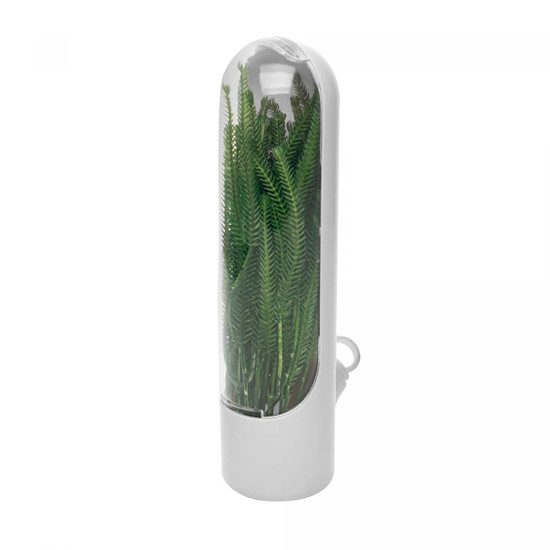 Imagem POTE CONSERVADOR ERVAS E TEMPEROS FRESCOS EM PLÁSTICO BRANCO 25X10X6,5CM - LYOR