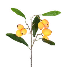 Imagem de HASTE DECORATIVA DE NESPEREIRA AMARELA 54X20CM - GRILLO - Grillo Ltda