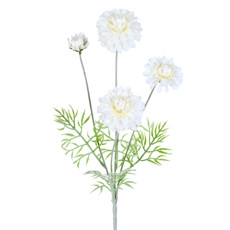 Imagem de HASTE DECORATIVA DE ZINNIA CREME DE PLÁSTICO MOLDÁVEL 59X15X15CM - GRILLO - Grillo Ltda
